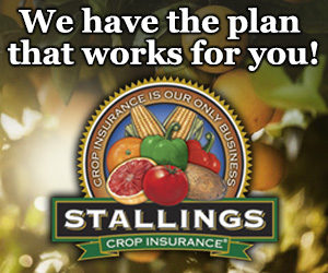 Stallings Crop Insurance